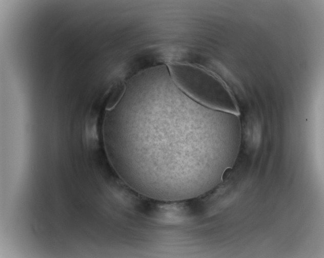 X0000115540516200911131547