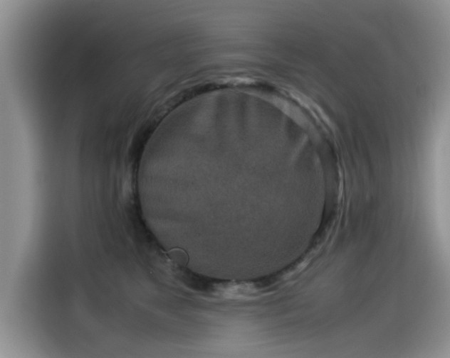 X0000115540517200911131547