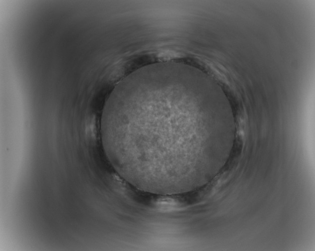 X0000115540519200911131547