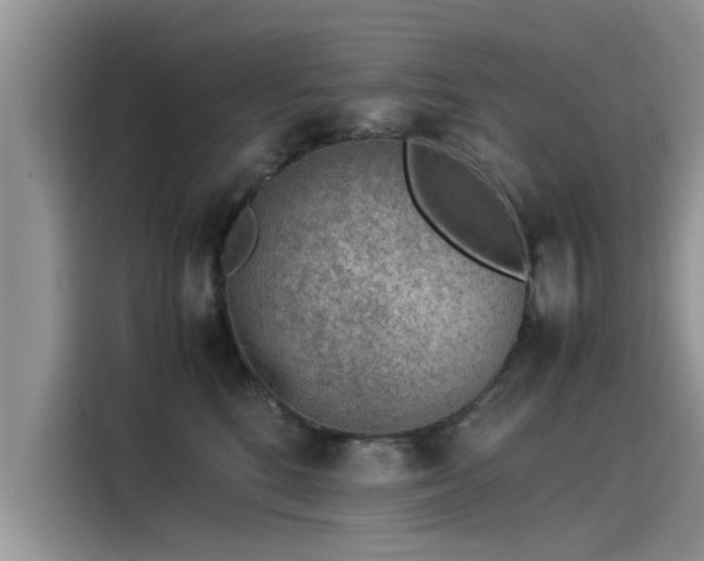 X0000115540520200911131547