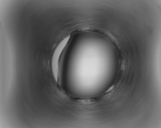 X0000115540524200911131547