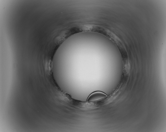 X0000115540525200911131546