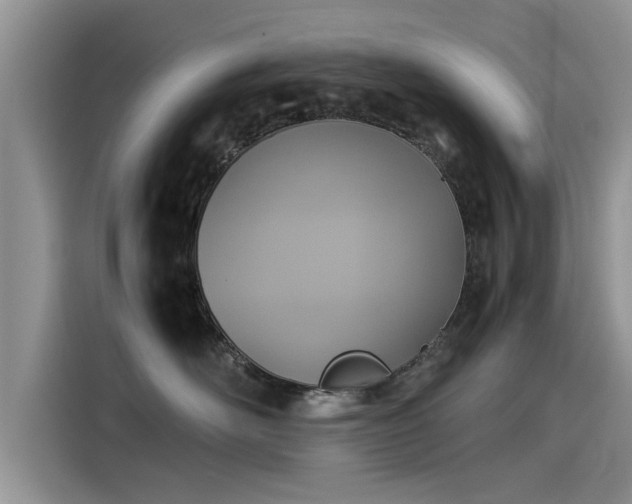 X0000115540526200911131546