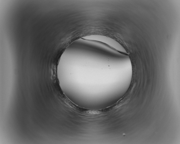 X0000115540528200911131546