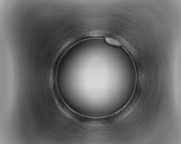 X0000115540530200911131546