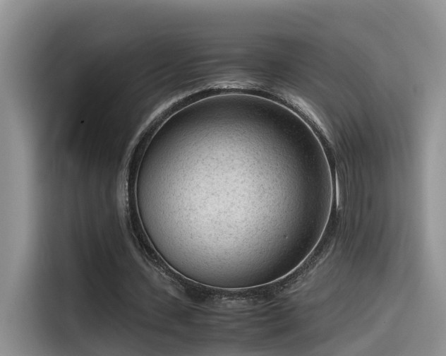 X0000115540531200911131546