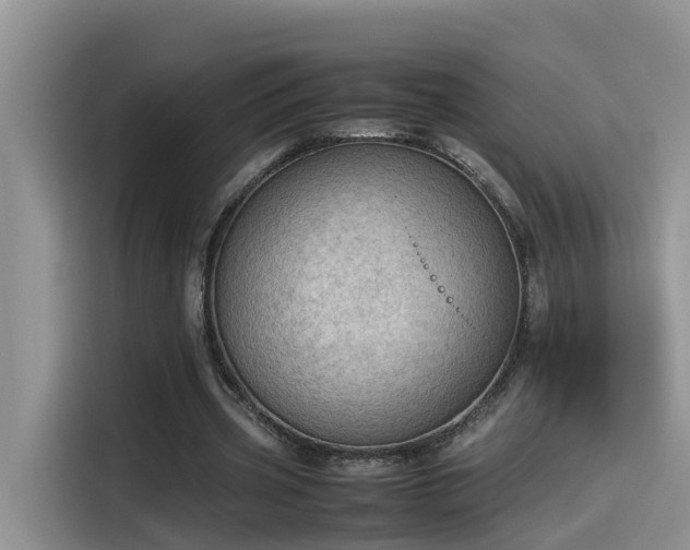 X0000115540533200911131546