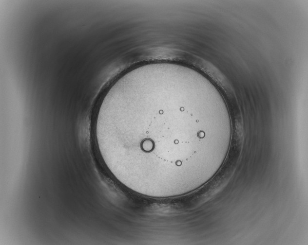 X0000115540534200911131546