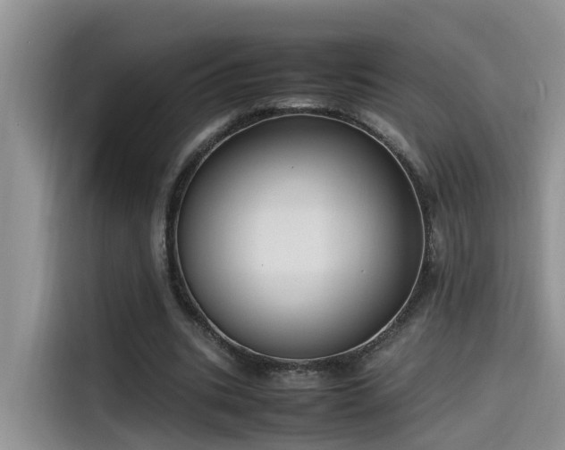 X0000115540535200911131546