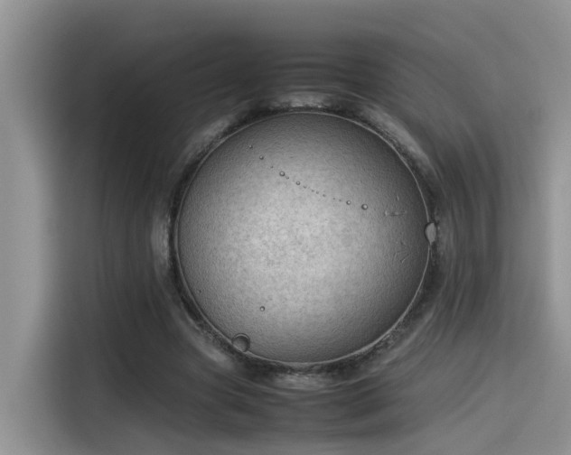 X0000115540537200911131546