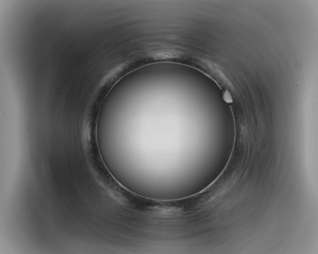 X0000115540539200911131546