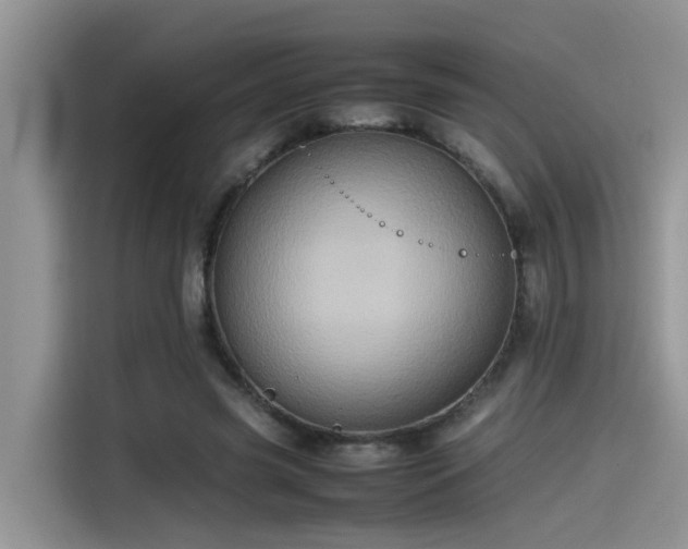 X0000115540541200911131546