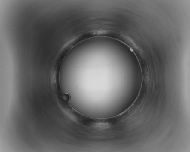 X0000115540543200911131546