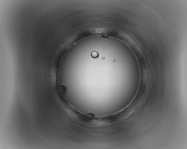 X0000115540545200911131546