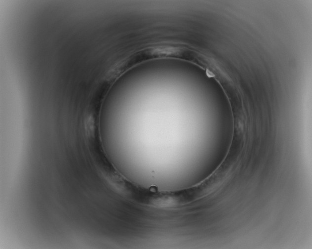 X0000115540551200911131546