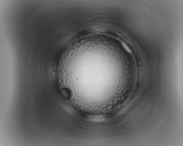 X0000115540553200911131546