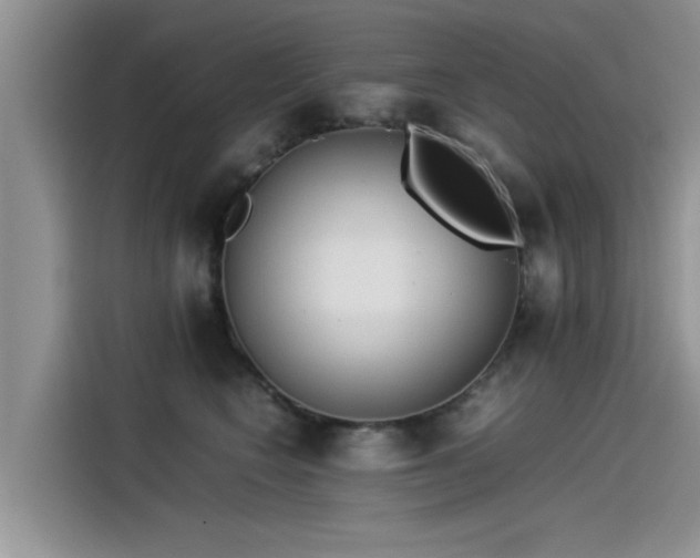 X0000115540566200911131546