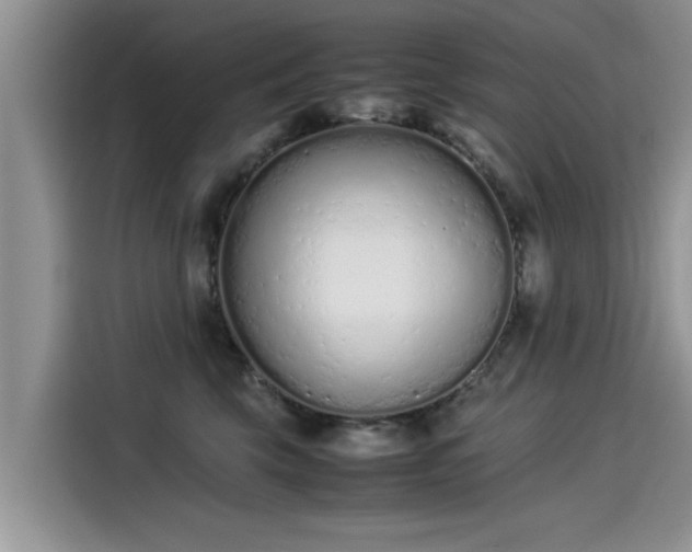 X0000115540569200911131546