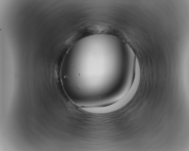 X0000115540570200911131546