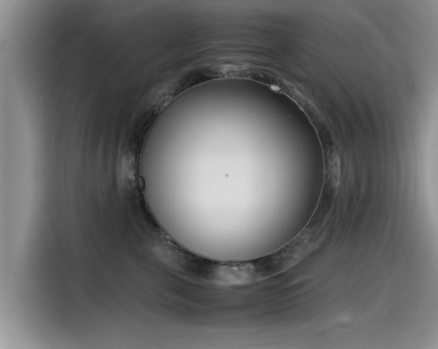 X0000115540571200911131546