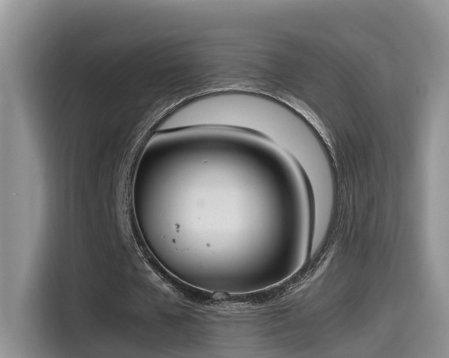 X0000115540577200911131546