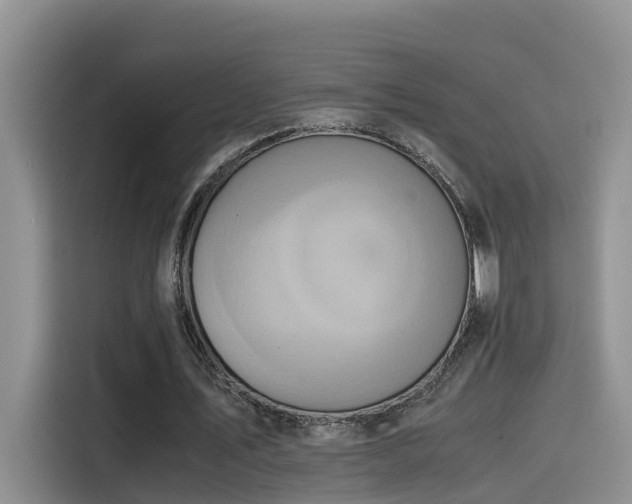 X0000115540579200911131546