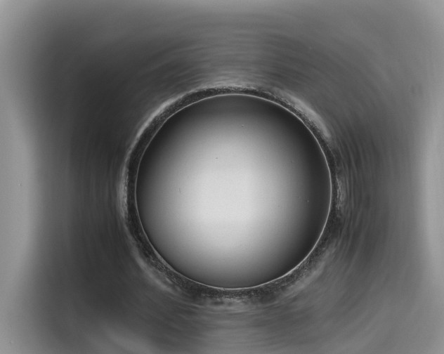 X0000115540580200911131546