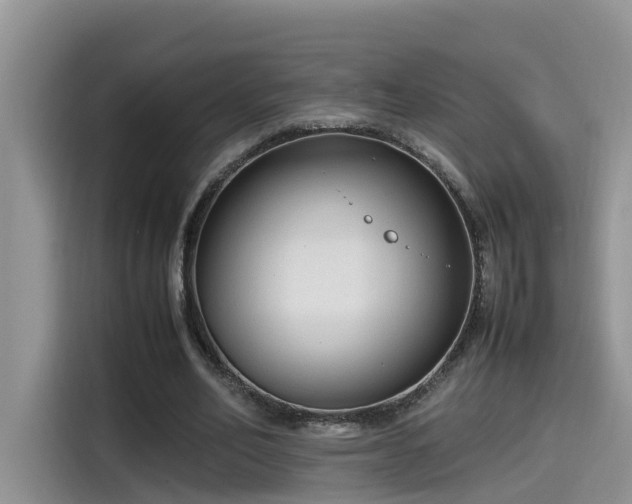 X0000115540582200911131546