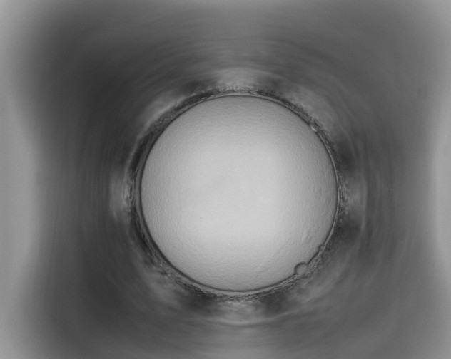 X0000115540583200911131546