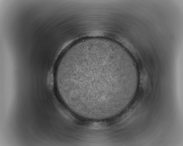 X0000115540584200911131546