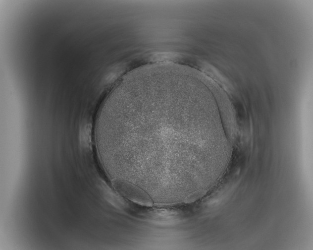 X0000115540585200911131546