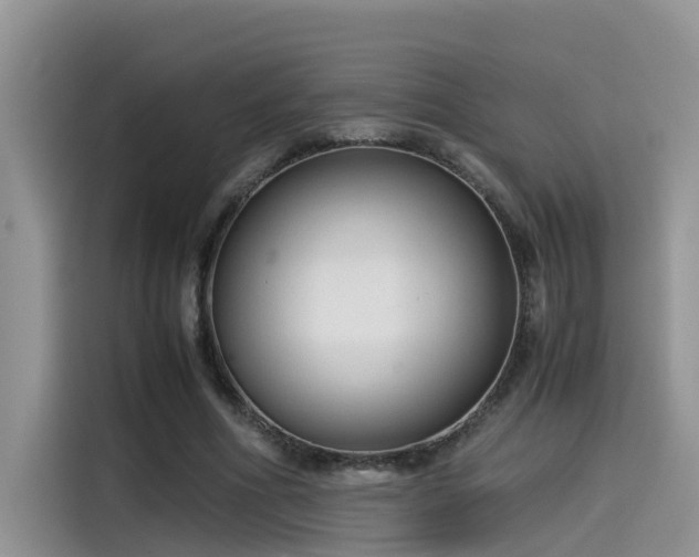 X0000115540586200911131546