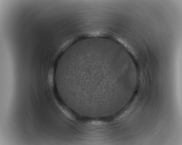 X0000115540590200911131546