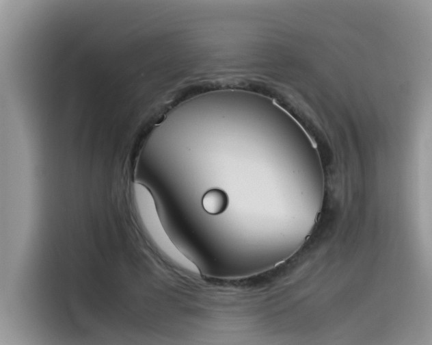 X0000115540593200911131546