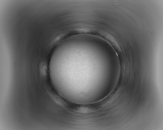 X0000115540596200911131546