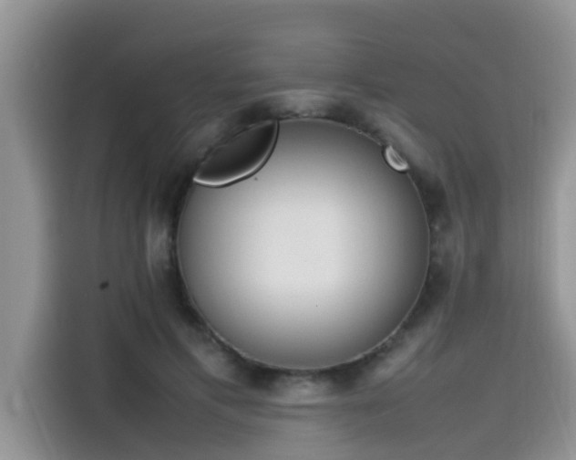 X0000115540597200911131546