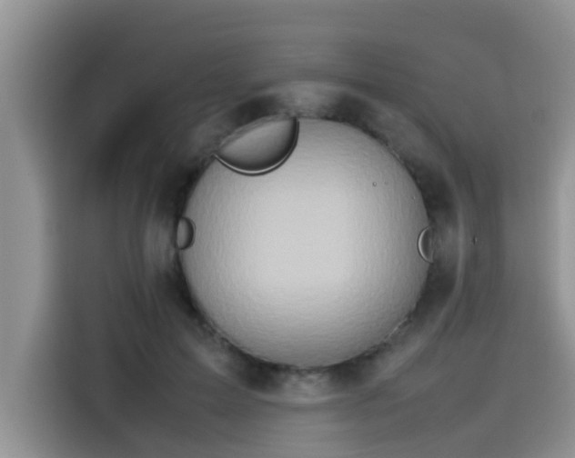 X0000115540599200911131546