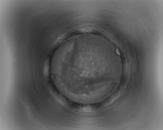 X0000115540600200911131546