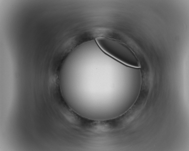 X0000115540601200911131546