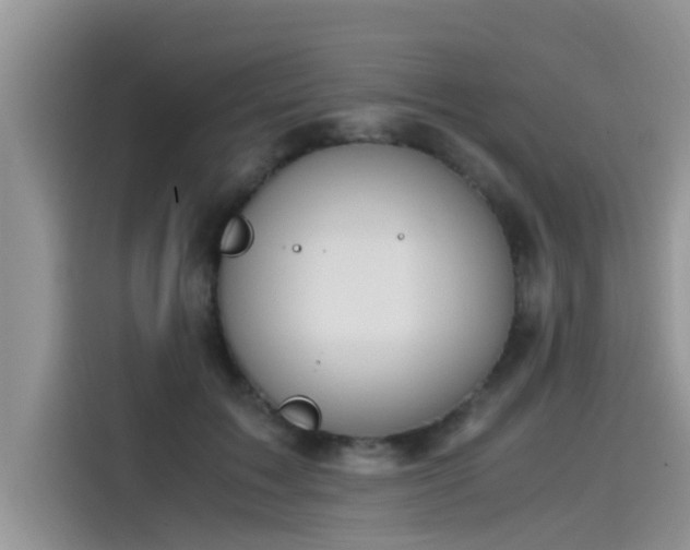 X0000115540603200911131545