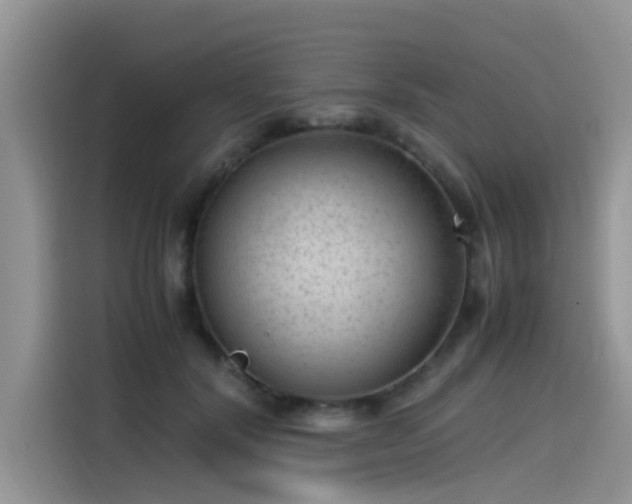 X0000115540604200911131545