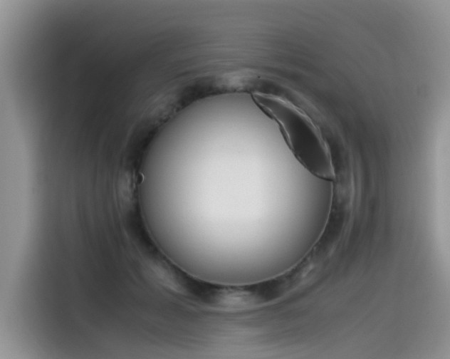 X0000115540605200911131545