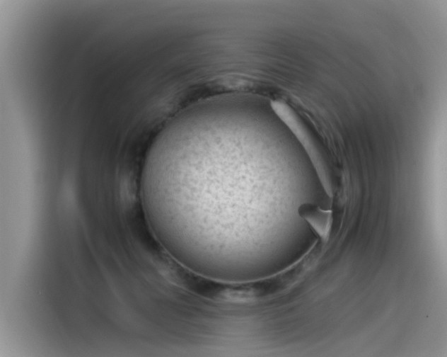 X0000115540606200911131545