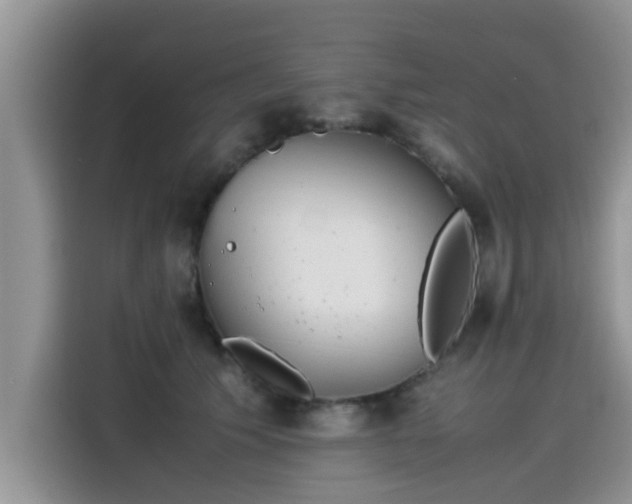 X0000115540609200911131545