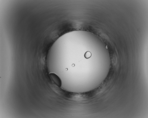 X0000115540611200911131545