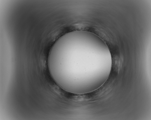 X0000115540615200911131545