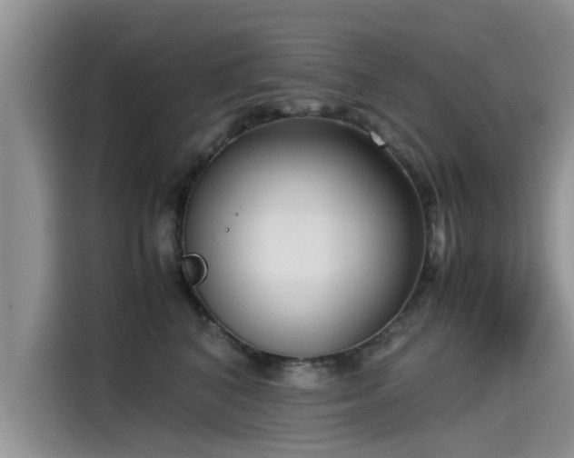 X0000115540616200911131545