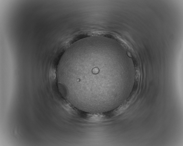 X0000115540621200911131545