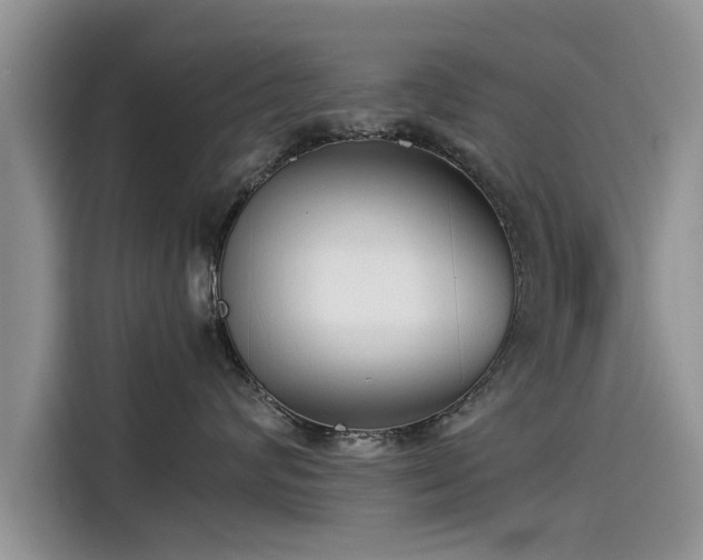 X0000115540624200911131545