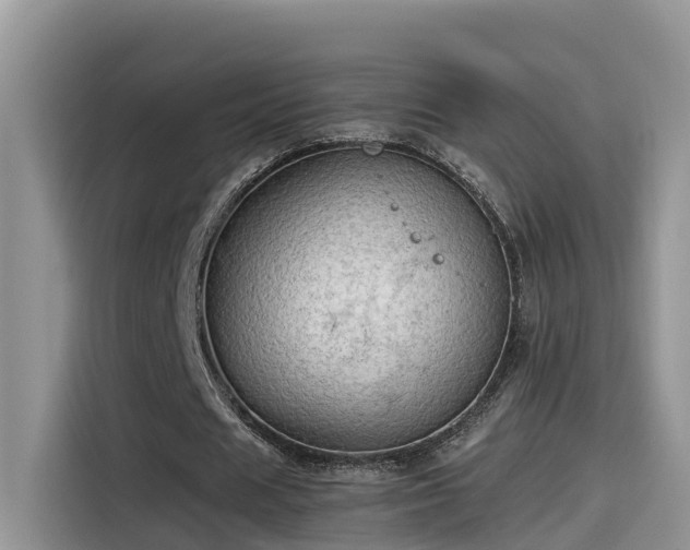 X0000115540625200911131545